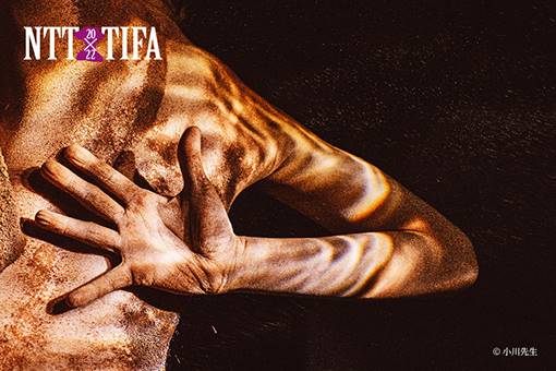 2022 NTT-TIFA 歌劇院駐館藝術家鄭伊里《感質》