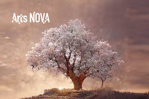 2023 NTT Arts NOVA 亞維儂藝術節╳提亞戈．羅提吉斯《櫻桃園》