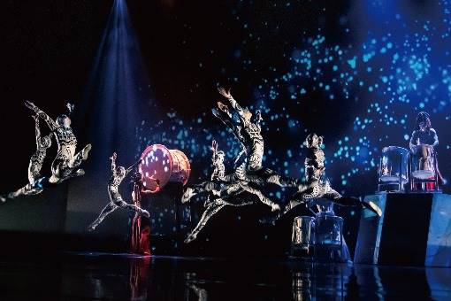 《VALO首部曲—阿米巴》