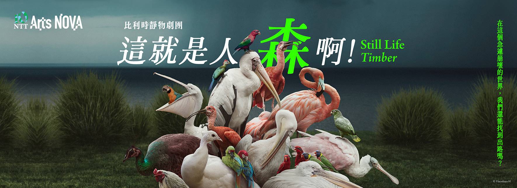 2026 NTT Arts NOVA 比利時靜物劇團《這就是人「森」啊！》