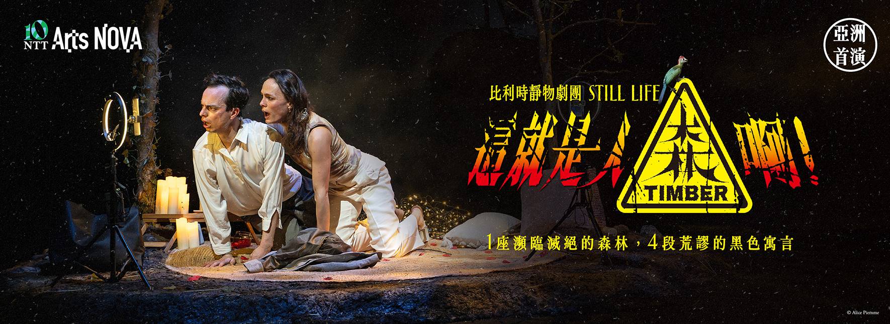 スティルライフ・カンパニー『Timber』