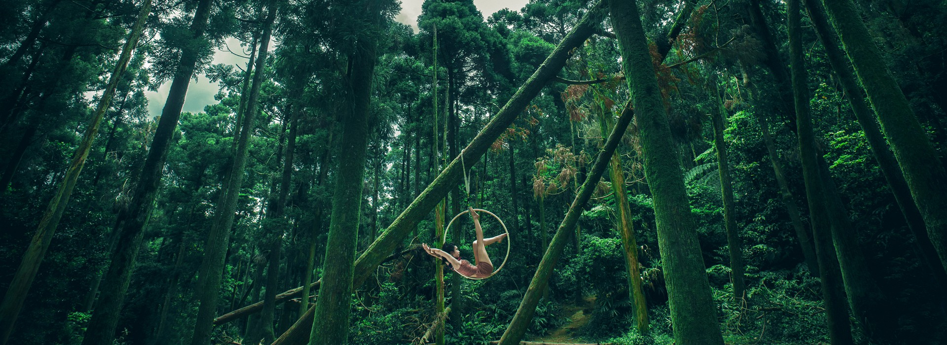 2017臺中花都藝術季演出徵件計畫-創造焦點《日和盛綻》 2017臺中花都藝術季演出徵件計畫-創造焦點《日和盛綻》