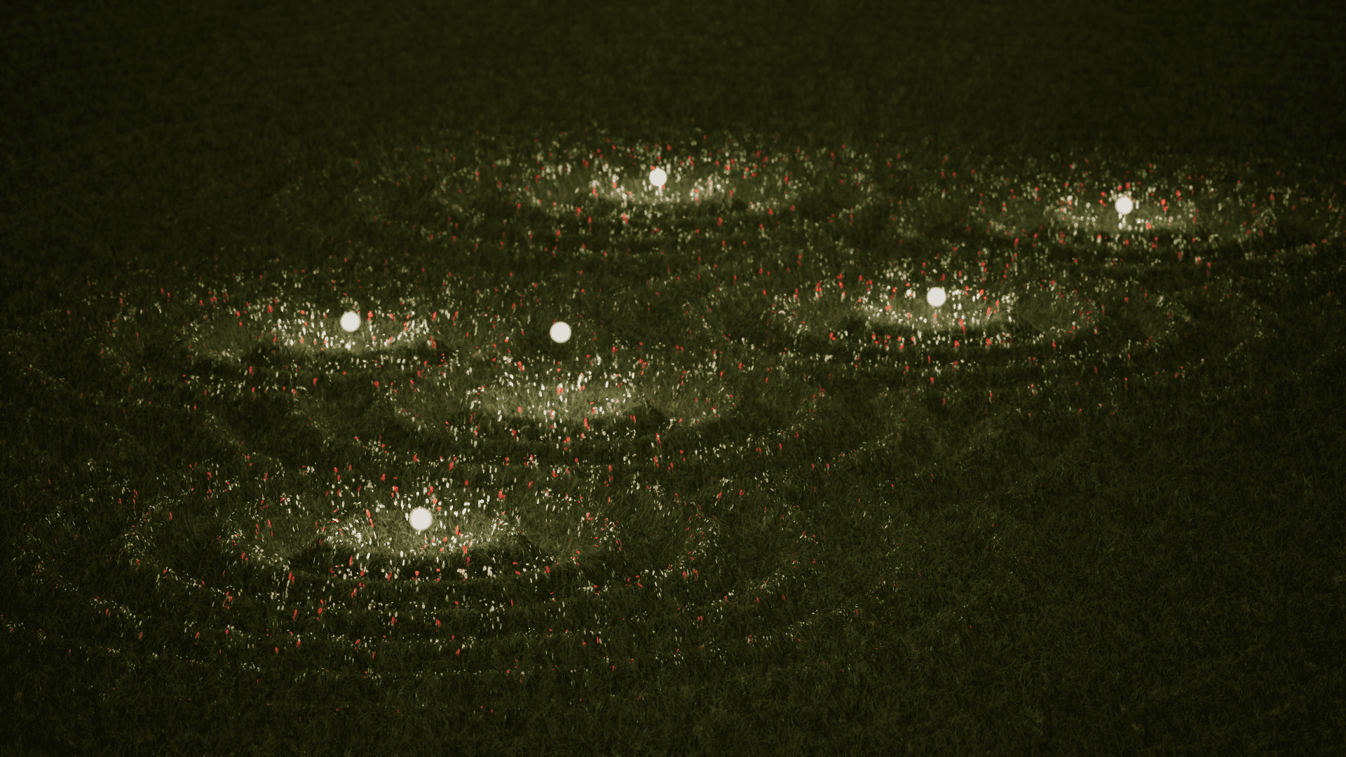 《植間低語》作品照片