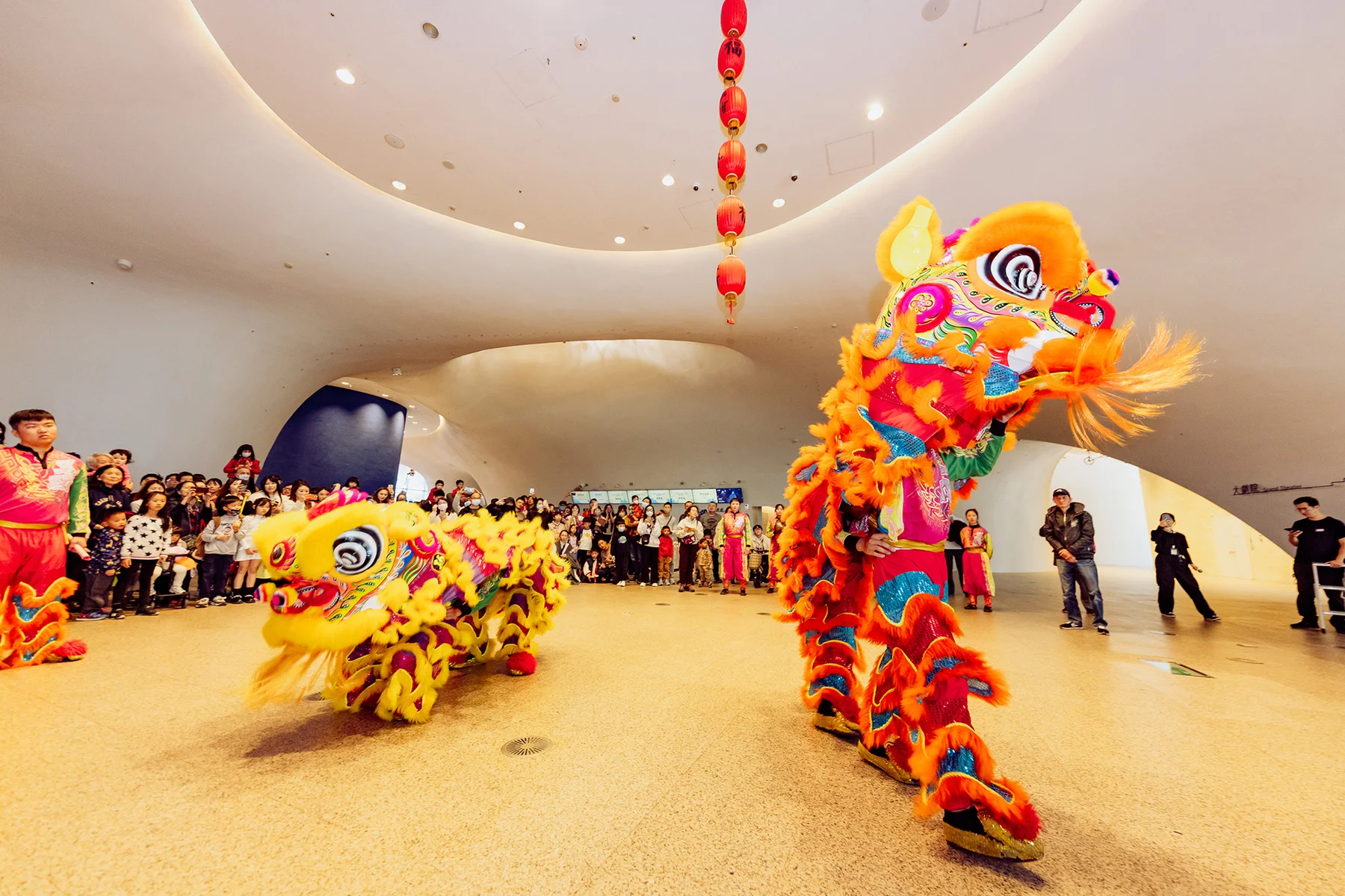 春節活動《王功戰鼓舞獅》